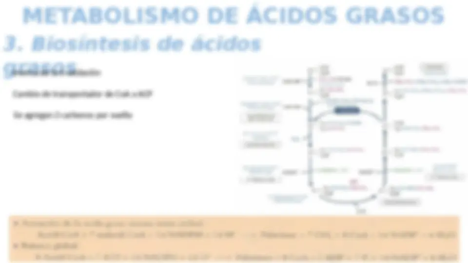 METABOLISMO DE LÍPIDOS: bioquimica | Diapositivas de Medicina | Docsity