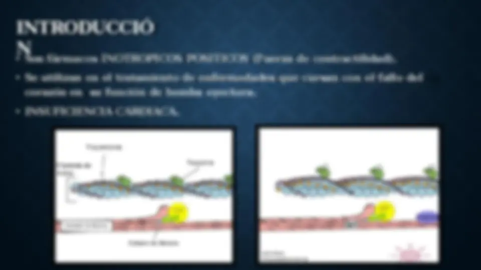 pf3