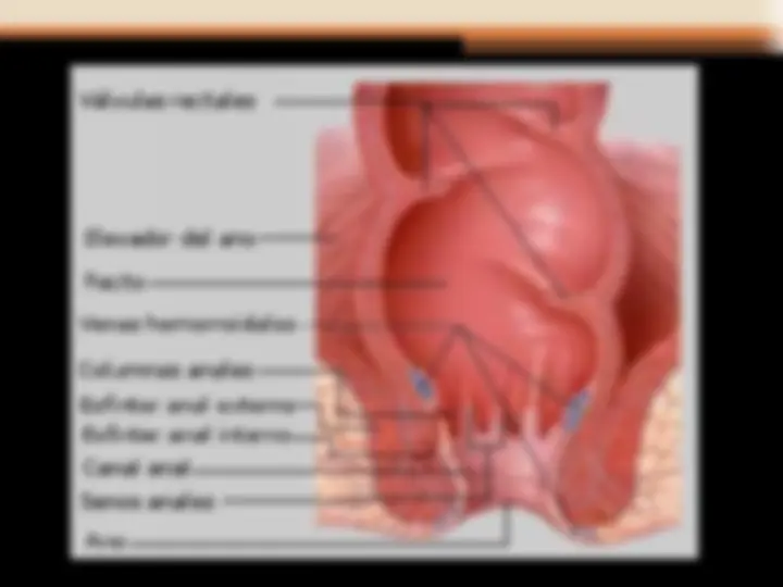 pf3