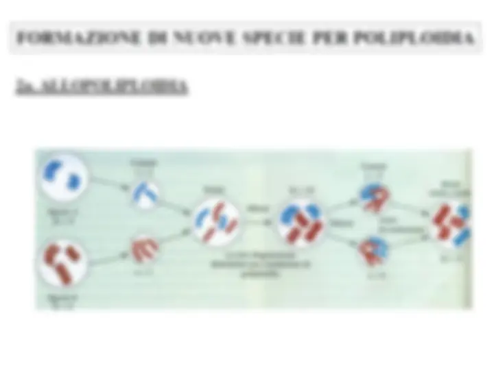 pf17
