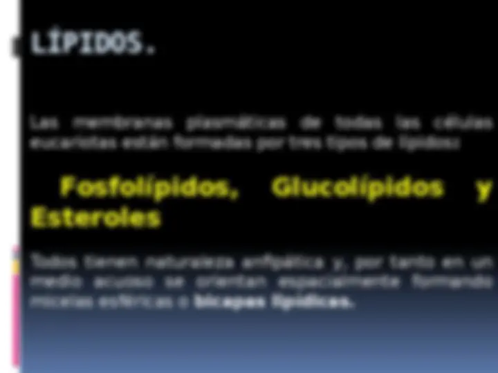 pf5