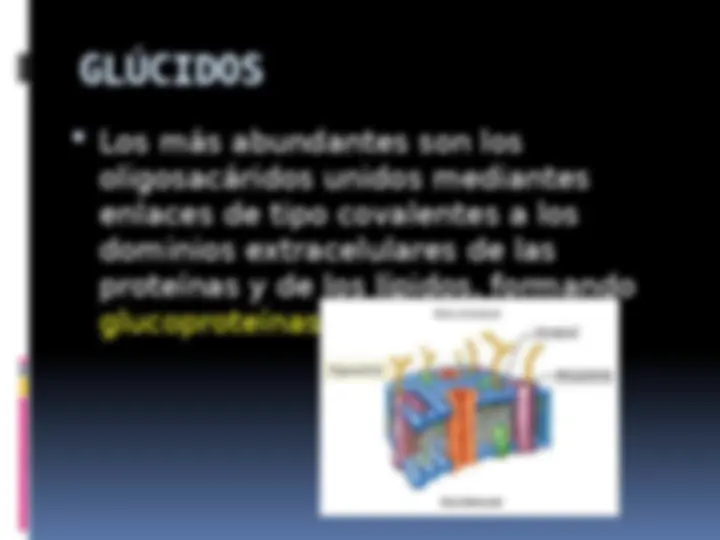 pf12