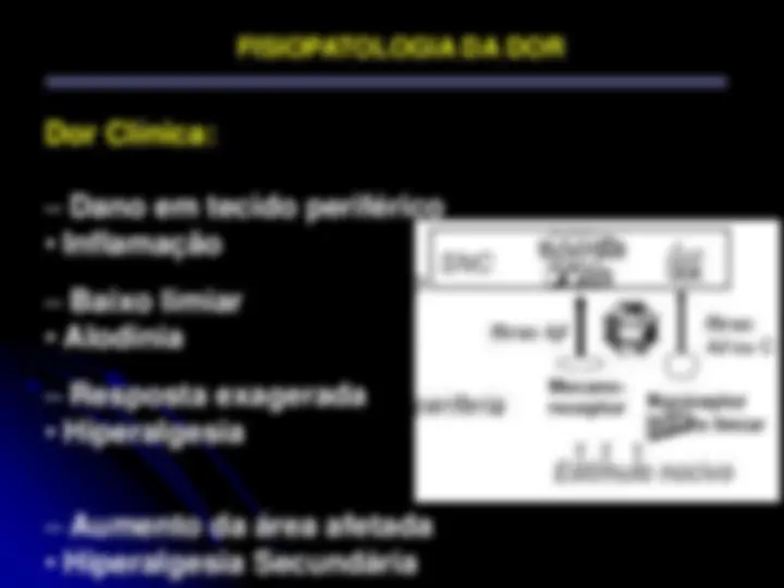 pf20