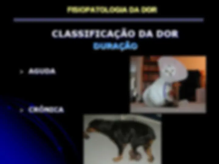 pf27