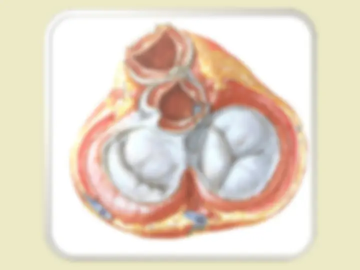 pf5
