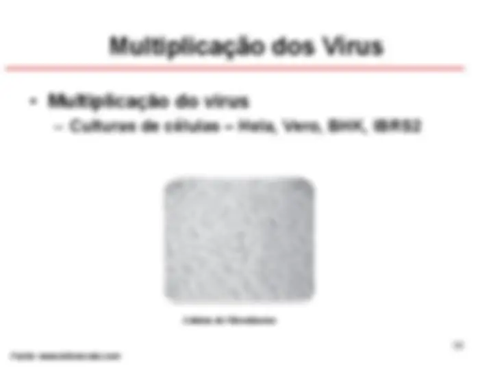 pf27