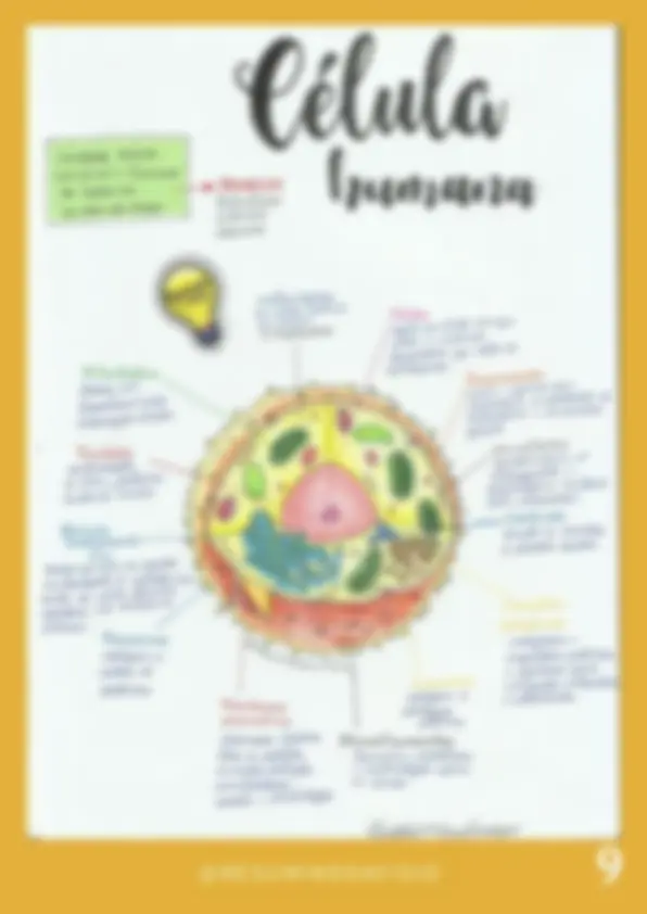 pfa