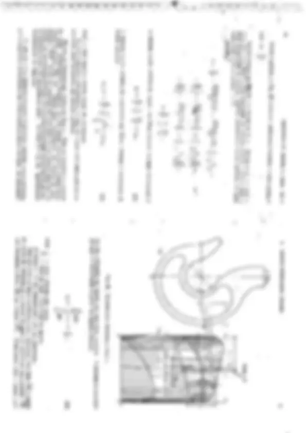 pf31