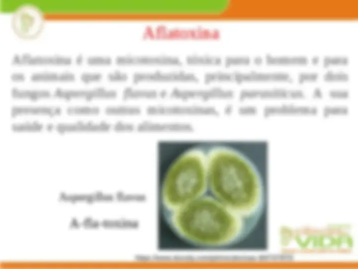 pfa