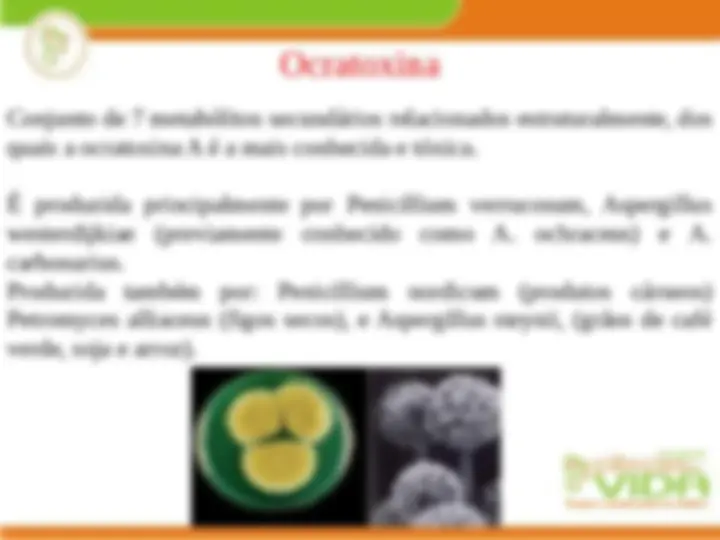 pf13