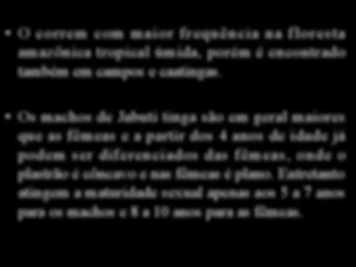 pf1f