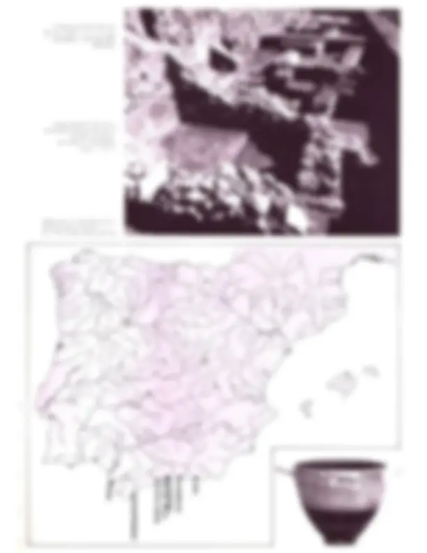 pf1b