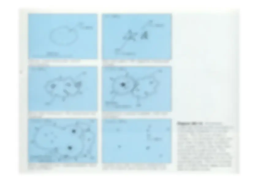 pf20