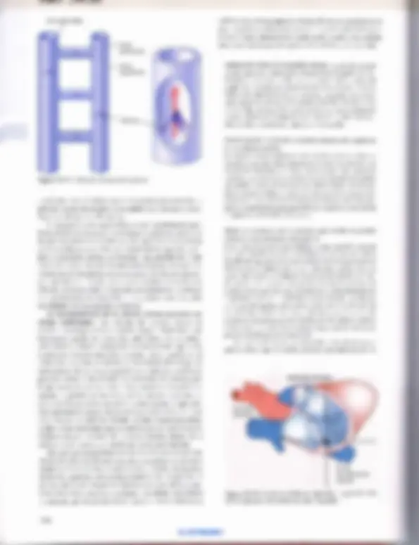 pf13