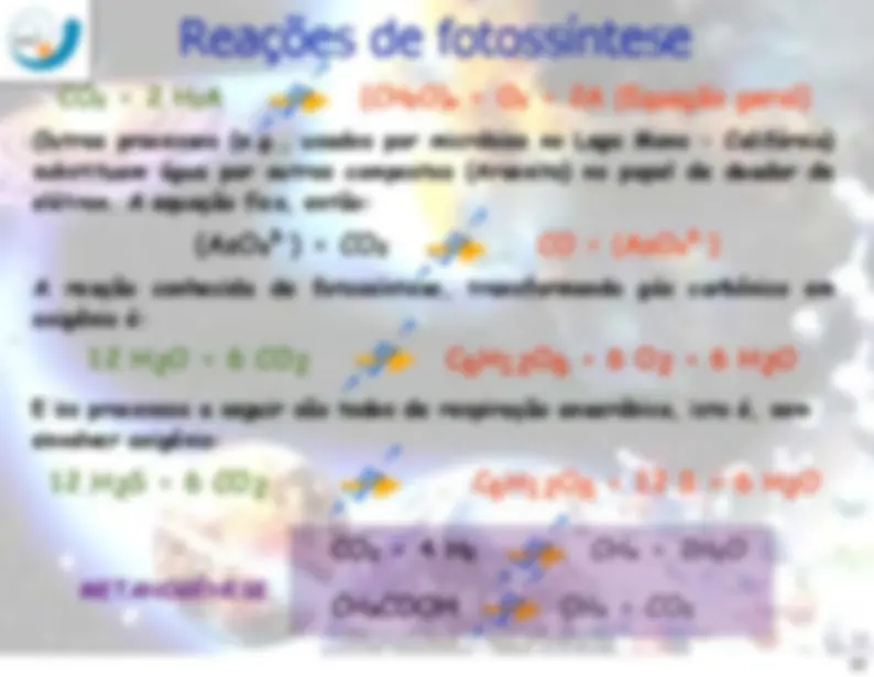 pf23