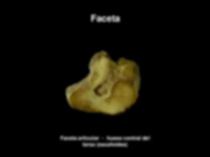 pf36