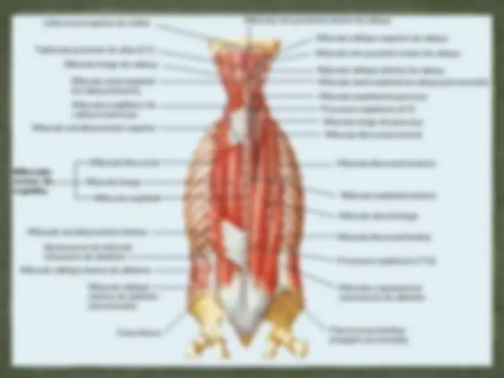 pf3a