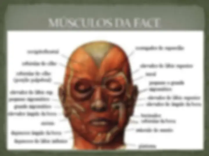 pf5