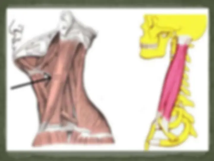 pf37
