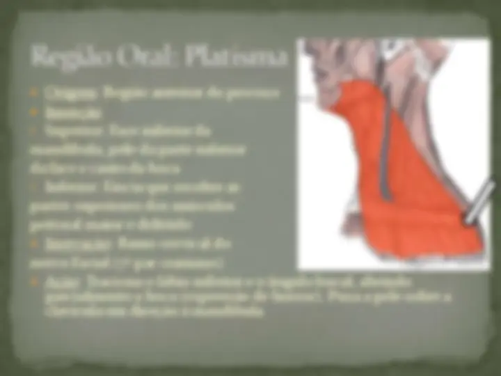 pf16