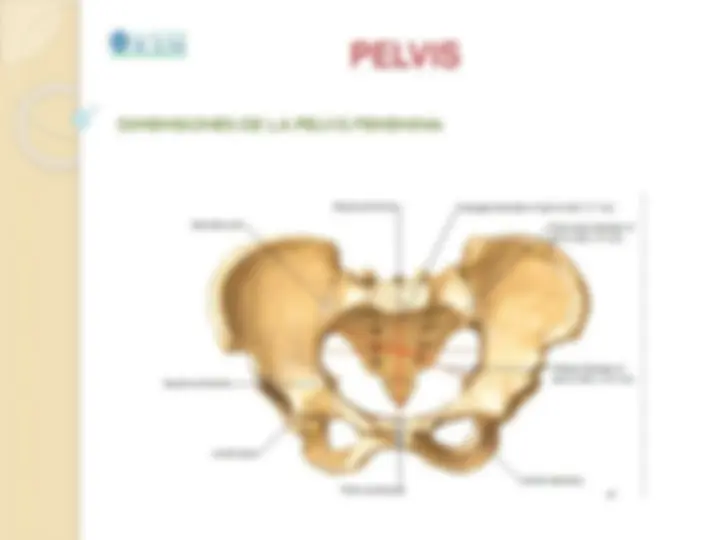pf8