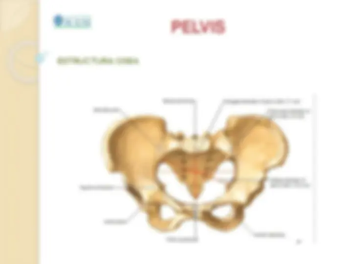 pf5