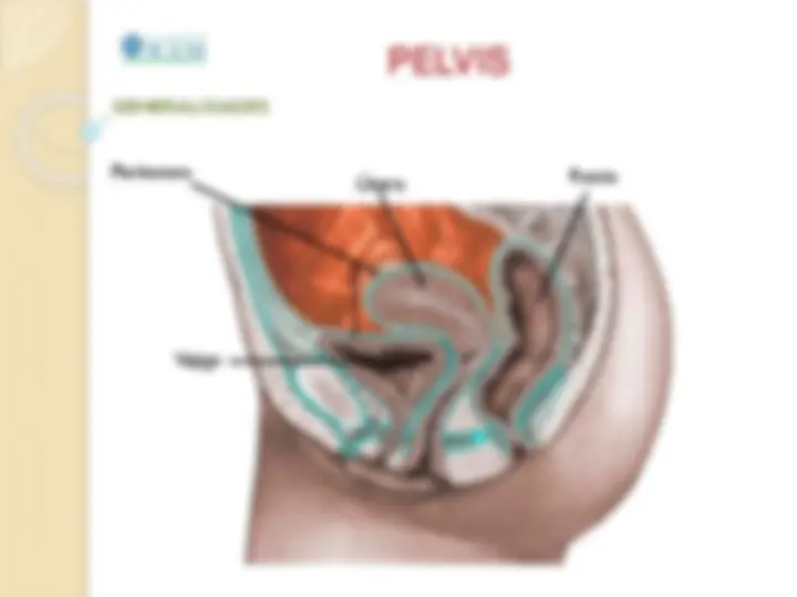 pf3