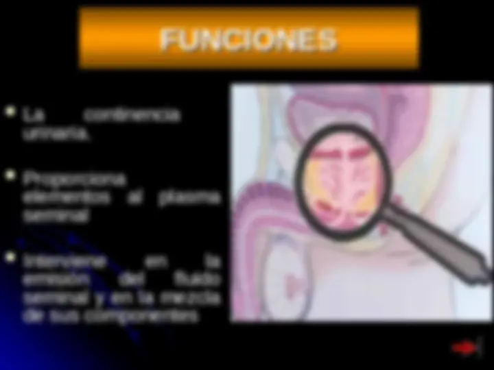 pf4