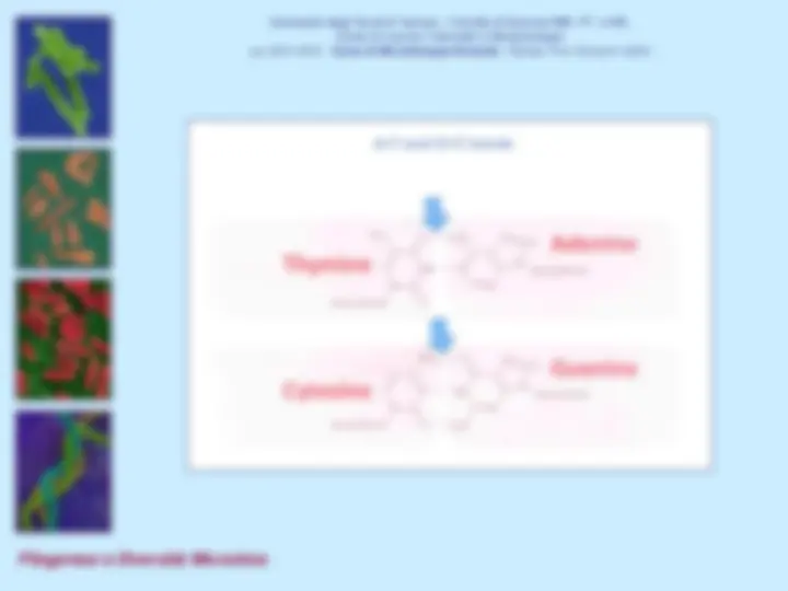pf32