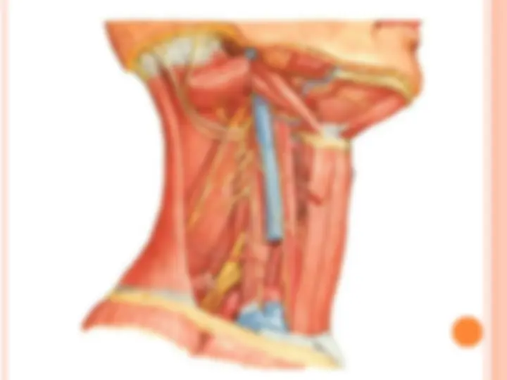 pf1f
