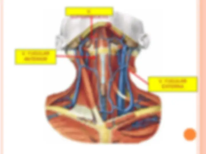 pf5