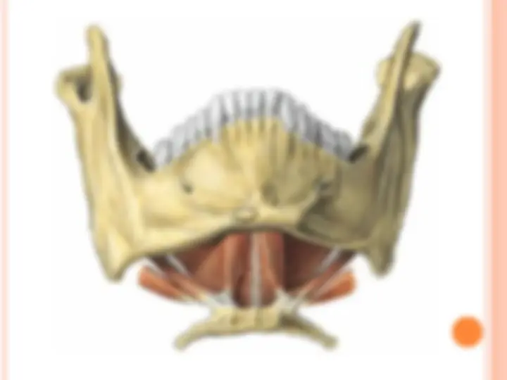 pf19