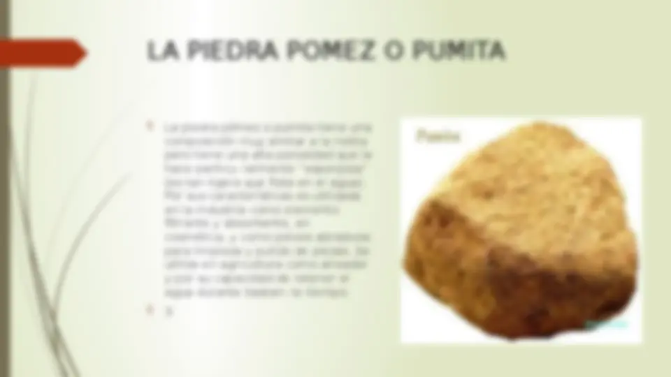 pf19