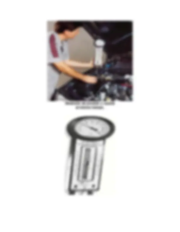 pf21