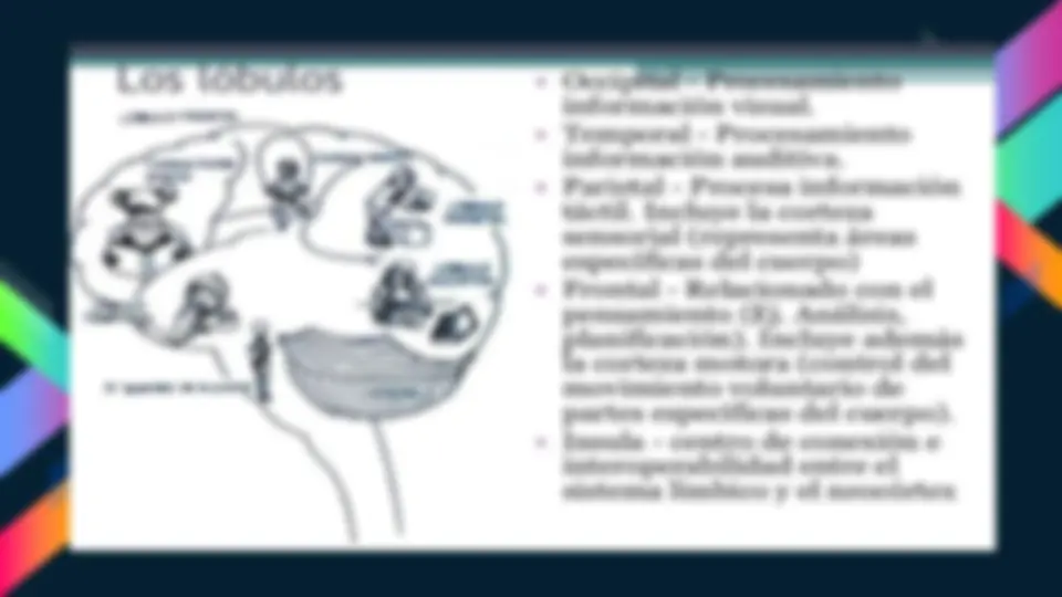 pf29