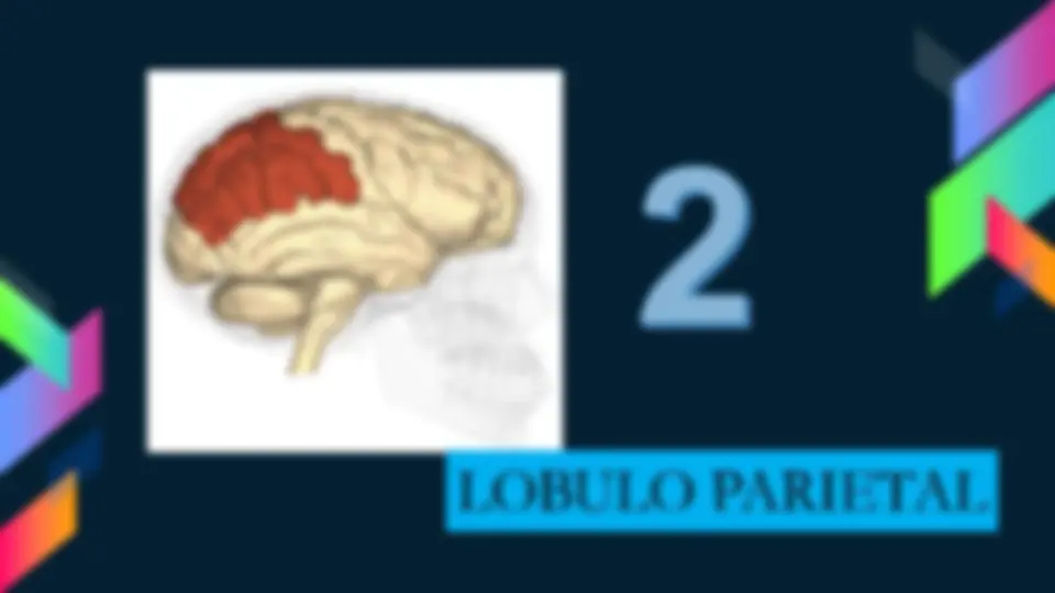 pf1d