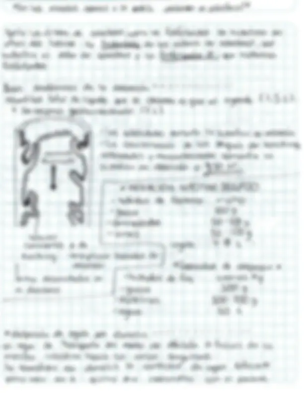 pf5