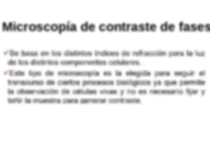 pf13