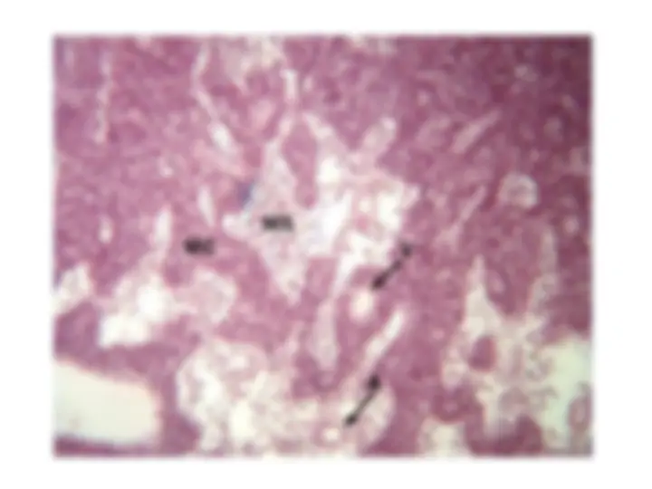 pf42