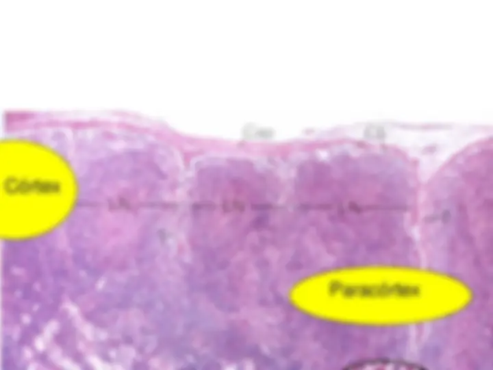 pf39