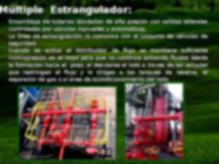pf31