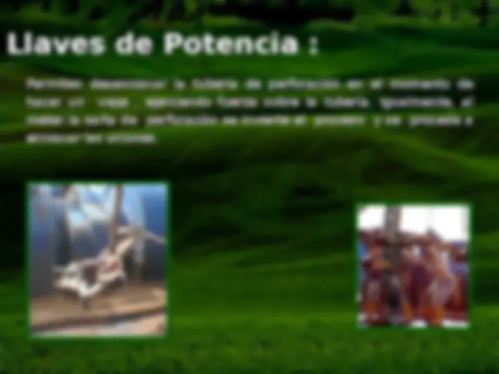 pf16