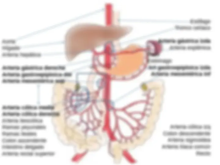 pfa