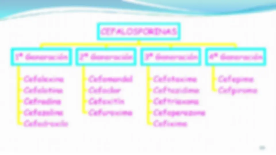 pf19