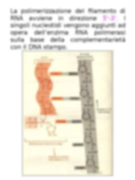 pf4