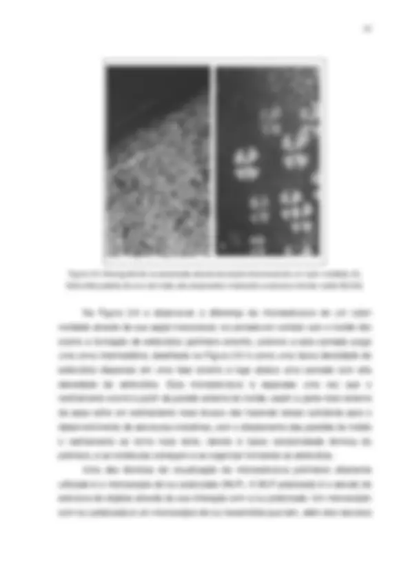 pf23