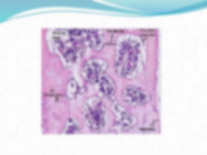 pf1c