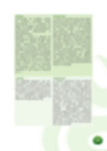 pf21