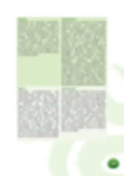 pf23
