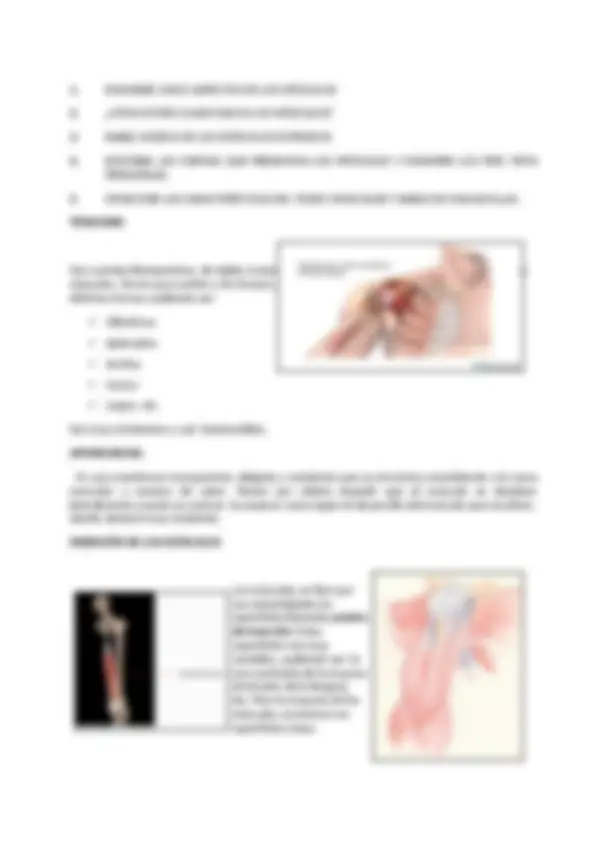 pf26